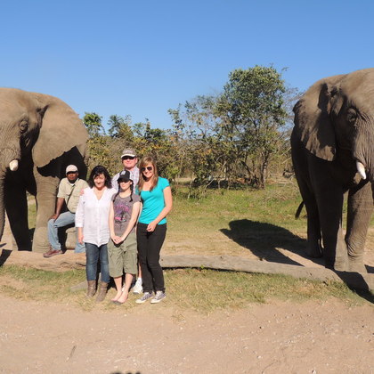 Meine Familie und ich erlebten Elefanten hautnah.